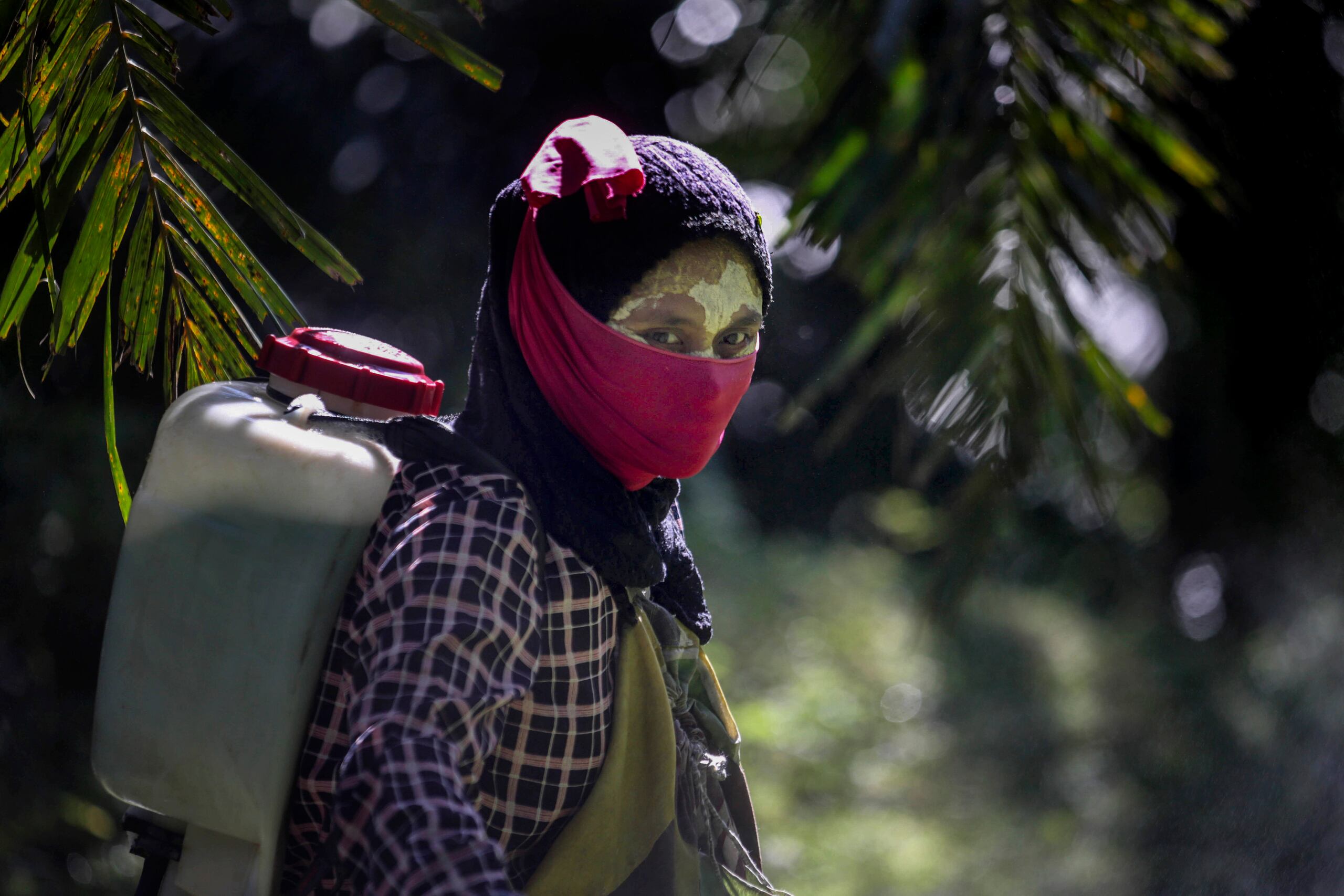 Una mujer carga sobre sus espaldas un contenedor con pesticida en una plantación de aceite de palma en Sumatra, Indonesia.