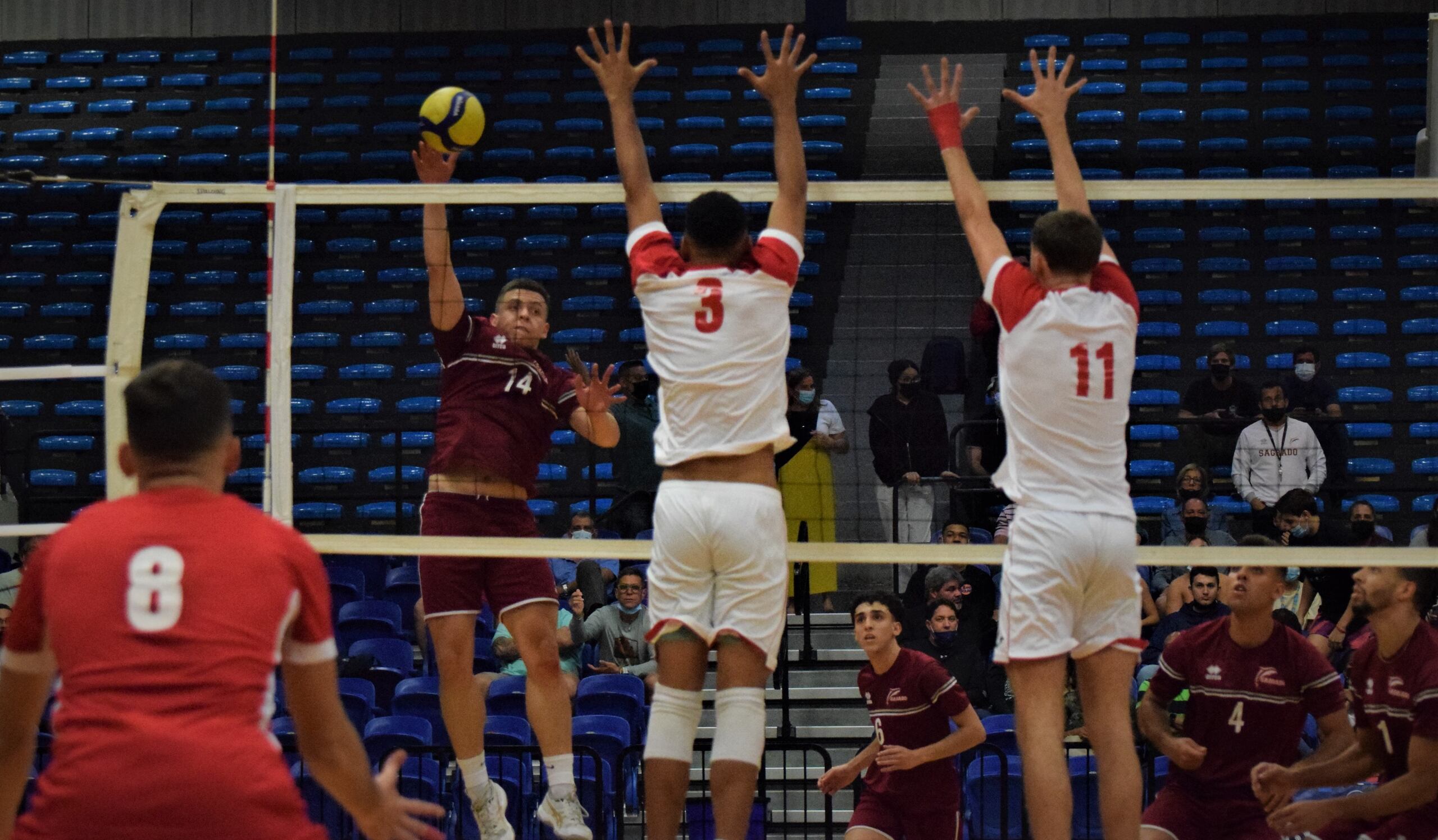 La temporada del primer semestre de la LAI incluye la contienda del voleibol. Dicho deporte pondrá en marcha su campaña el 19 de septiembre.