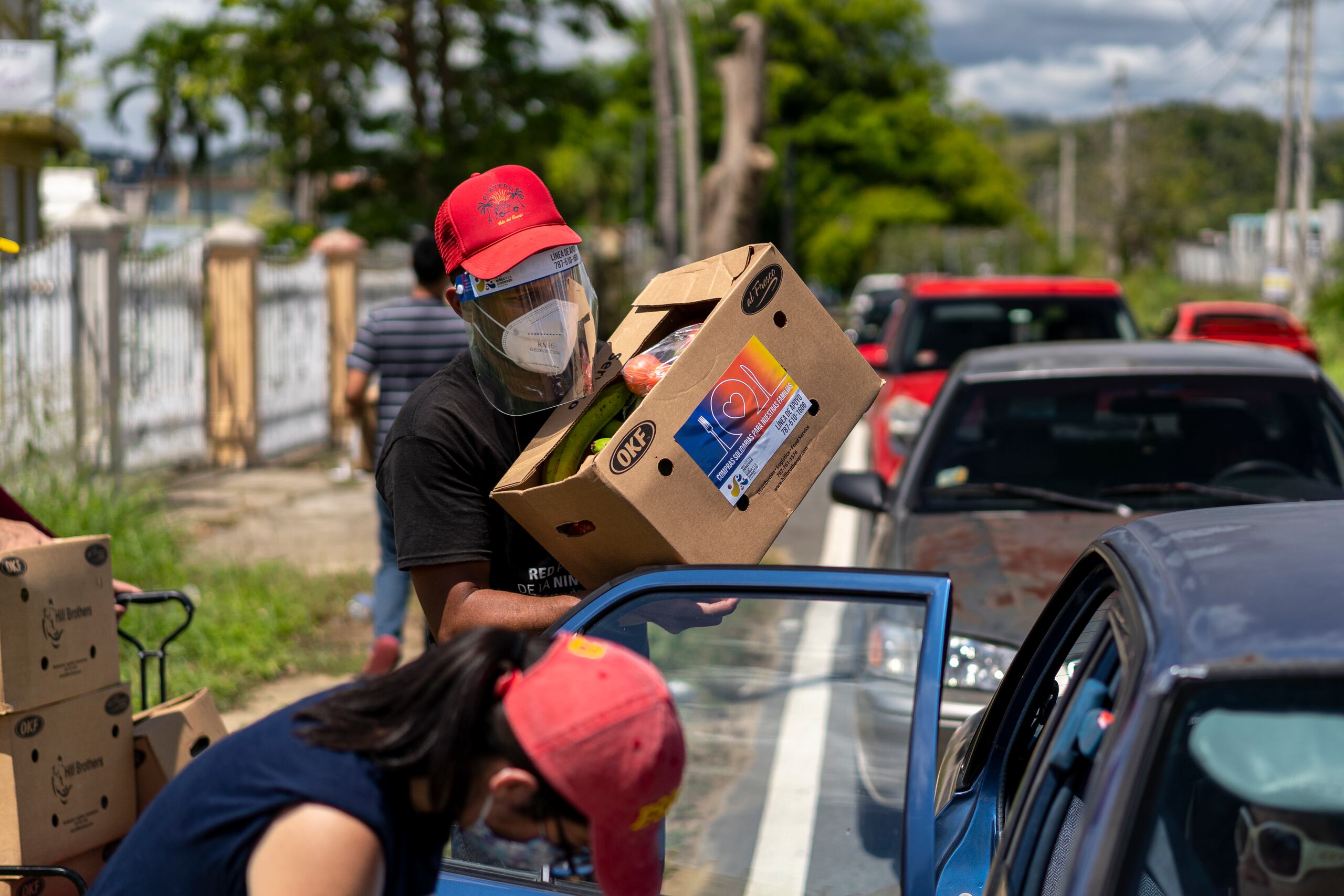 Red por los Derechos de la Niñez y la Juventud de Puerto Rico