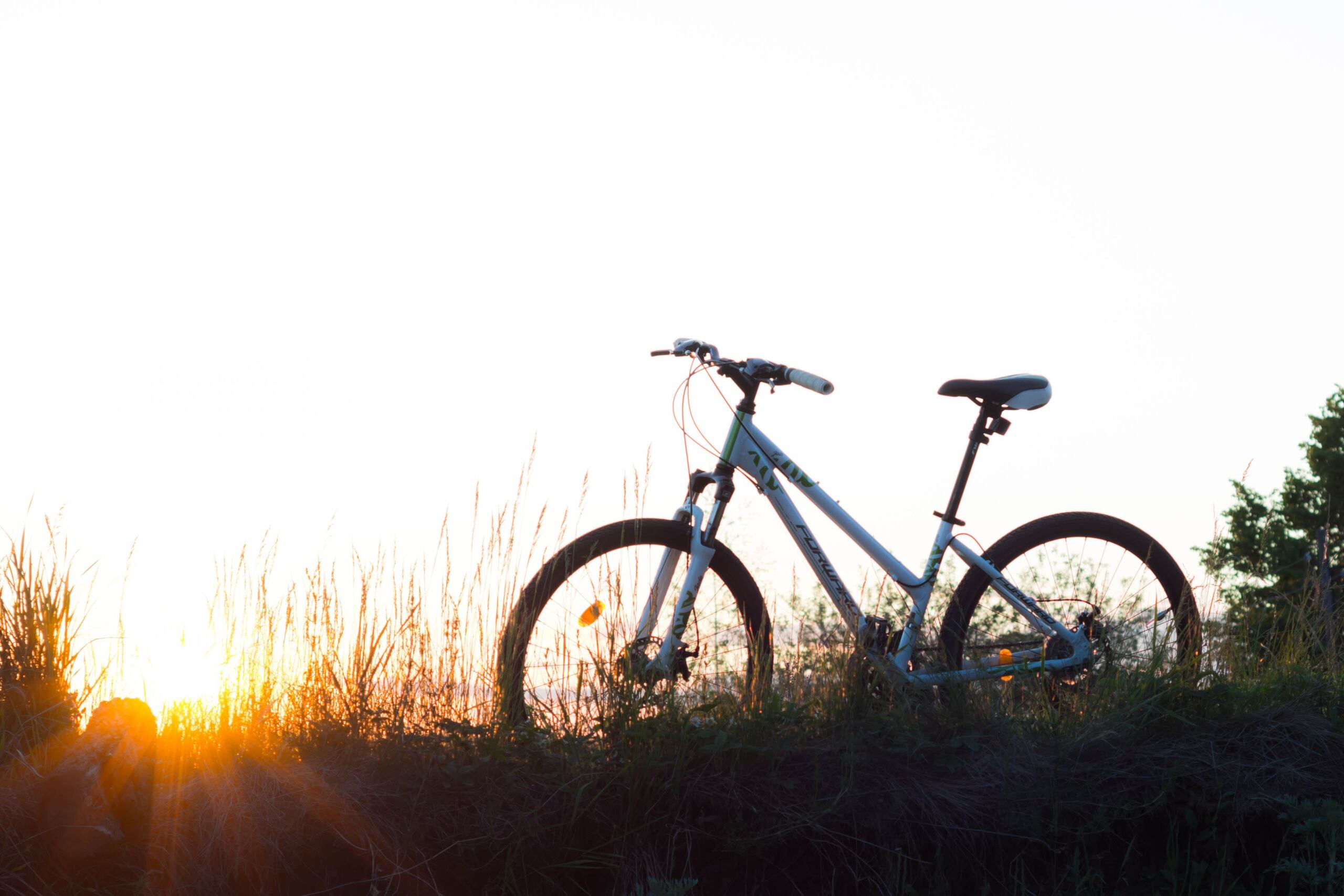 Hasta el martes, 6 ciclistas han sido arrollados en Puerto Rico.  (Pexels)