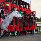 Limpios los caballos que corrieron en la Serie Hípica del Caribe