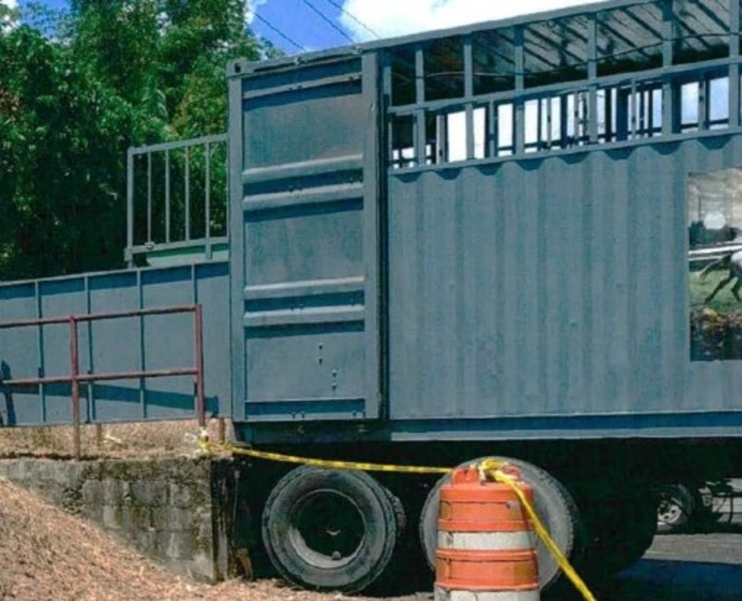 Así son los vagones de Transporte Lagos en donde viajan los ejemplares de carreras por la vía marítima desde Jacksonville a San Juan.