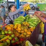 Beneficiarios del PAN contarían con mercados familiares en julio