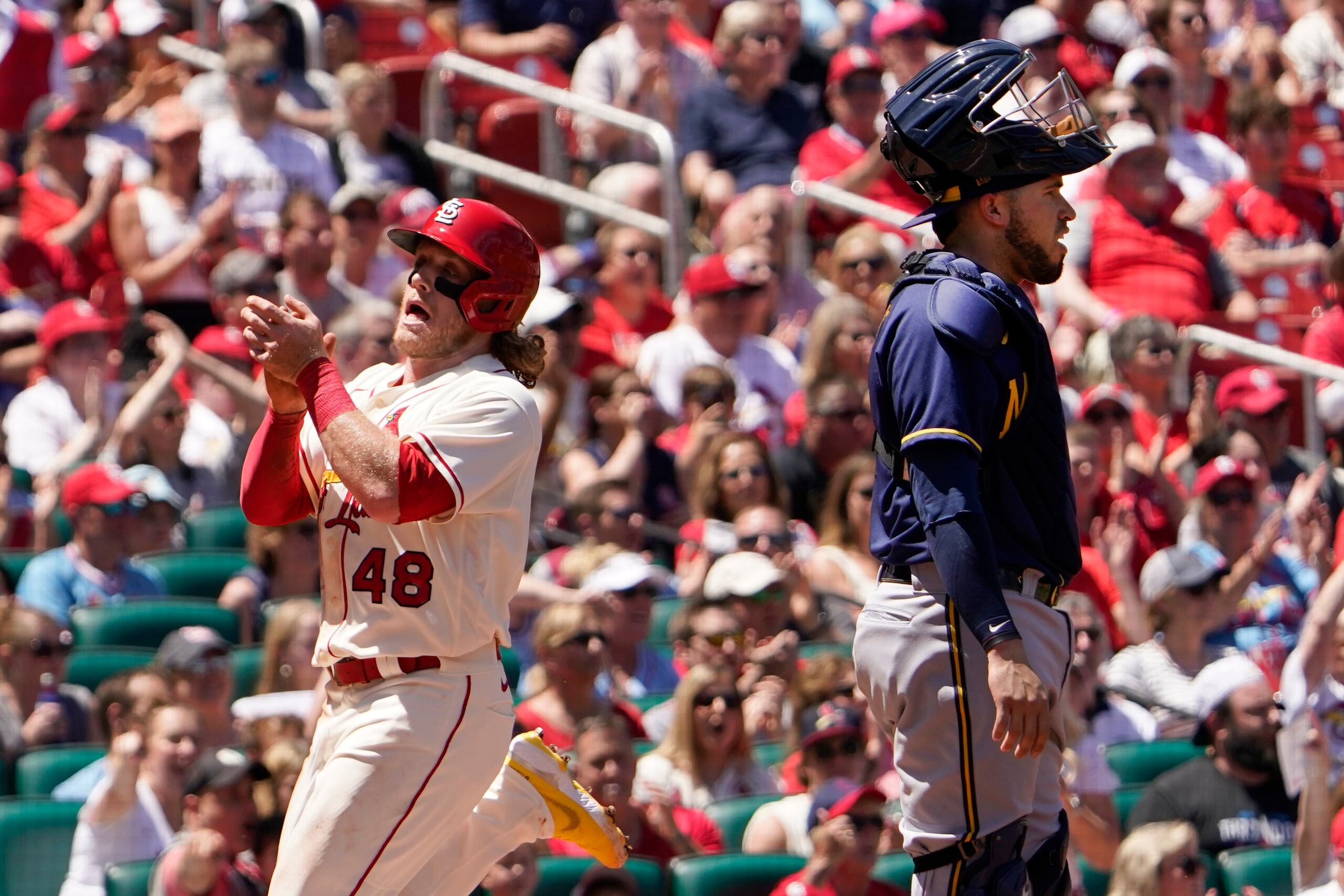 El receptor boricua de los Brewers de Milwaukee, Víctor Caratini, a la derecha, no puede hacer nada mientras el corredor de los Cardinals de San Luis, Harrison Bader, celebra su anotación durante la tercera entrada ayer en San Luis.