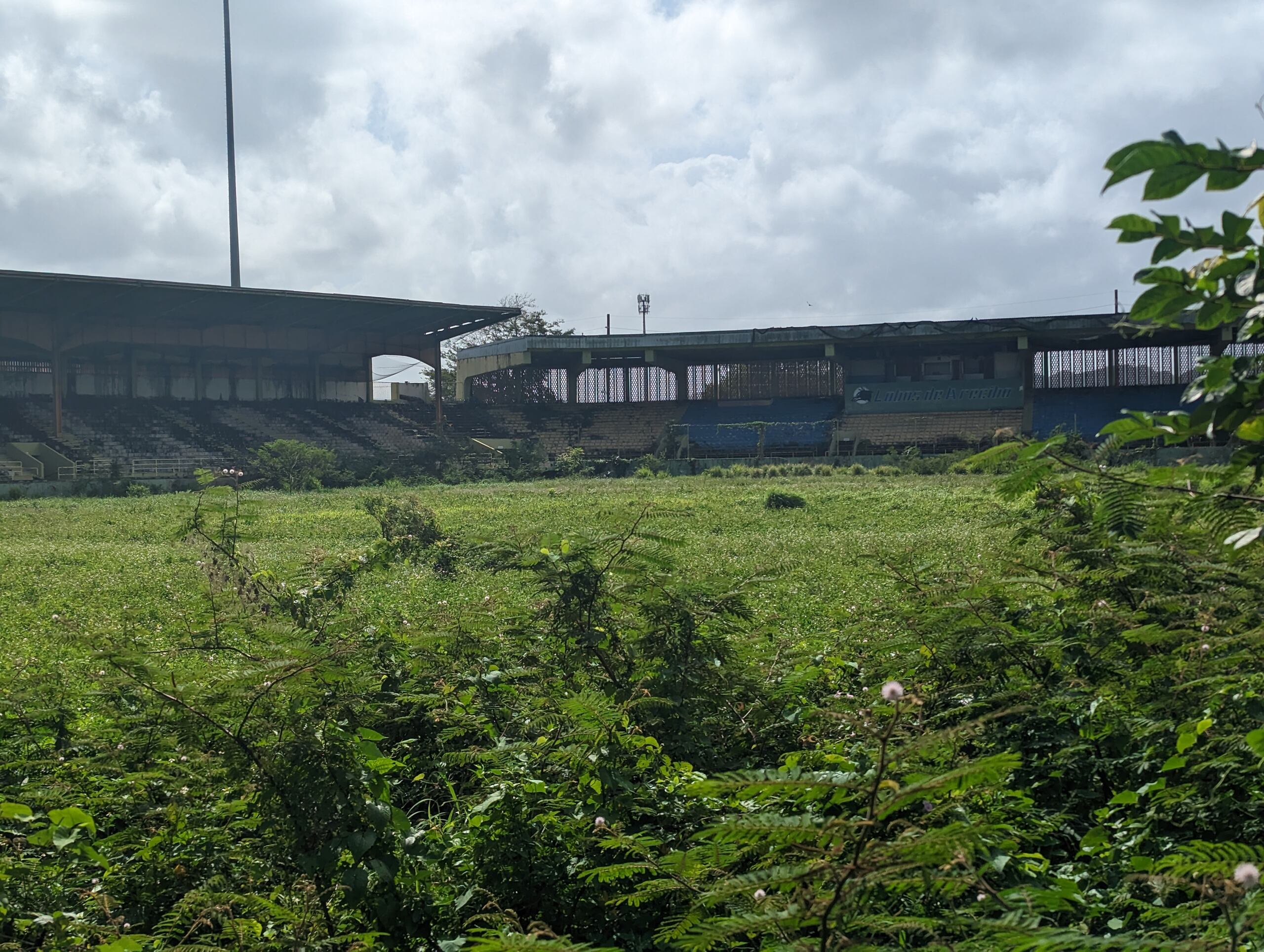 La maleza arropa lo que era el terreno de juego en el Estadio Luis Rodríguez Olmo.