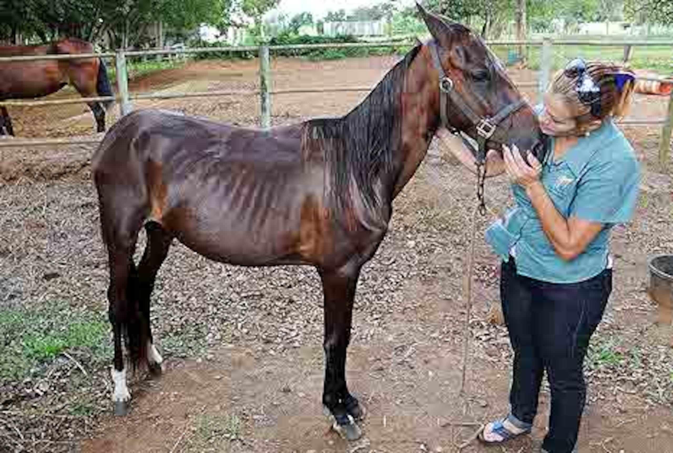 En la foto, la yegua Milagrito junto a Lisa Lembree. (Archivo)