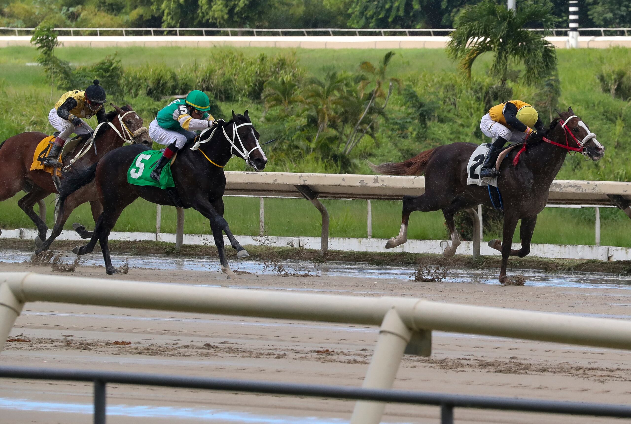 Otras apuestas que reportan números favorables son las de hipismo.