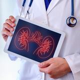 Trasplante renal: alternativa para los pacientes con enfermedad renal permanente 