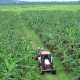 Agricultura exhorta a que agroempresarios sean licitadores del Gobierno