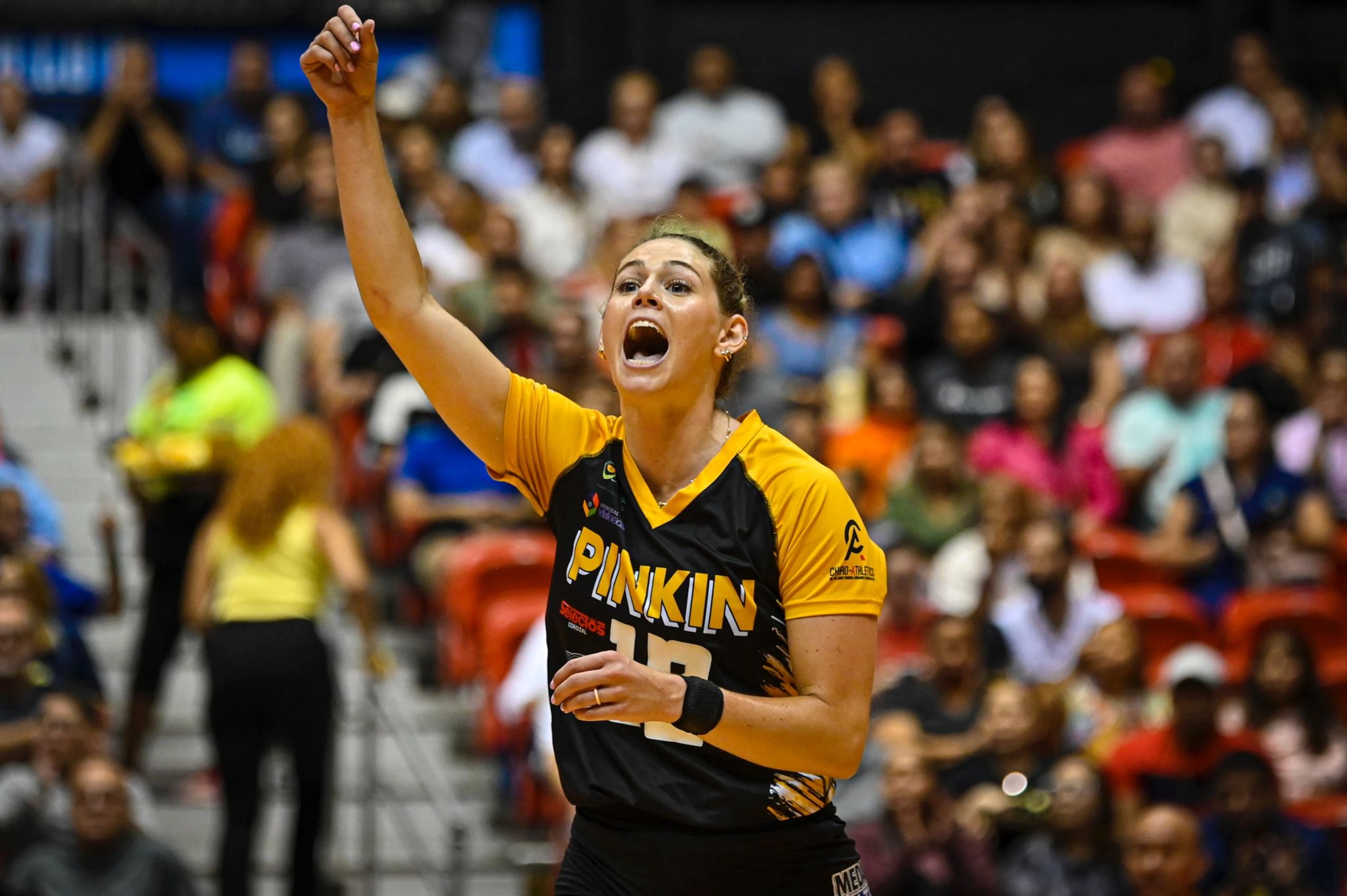 La acomodadora Más Valiosa de las serie final con las Pinkin de Corozal, Tori Dilfer, podría ser una de las jugadoras contratadas por la nueva liga estadounidense.