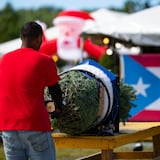 Entusiasmo boricua con la venta de árboles de Navidad