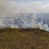 Los incendios en Brasil han destruido este año un área del tamaño de Bélgica 