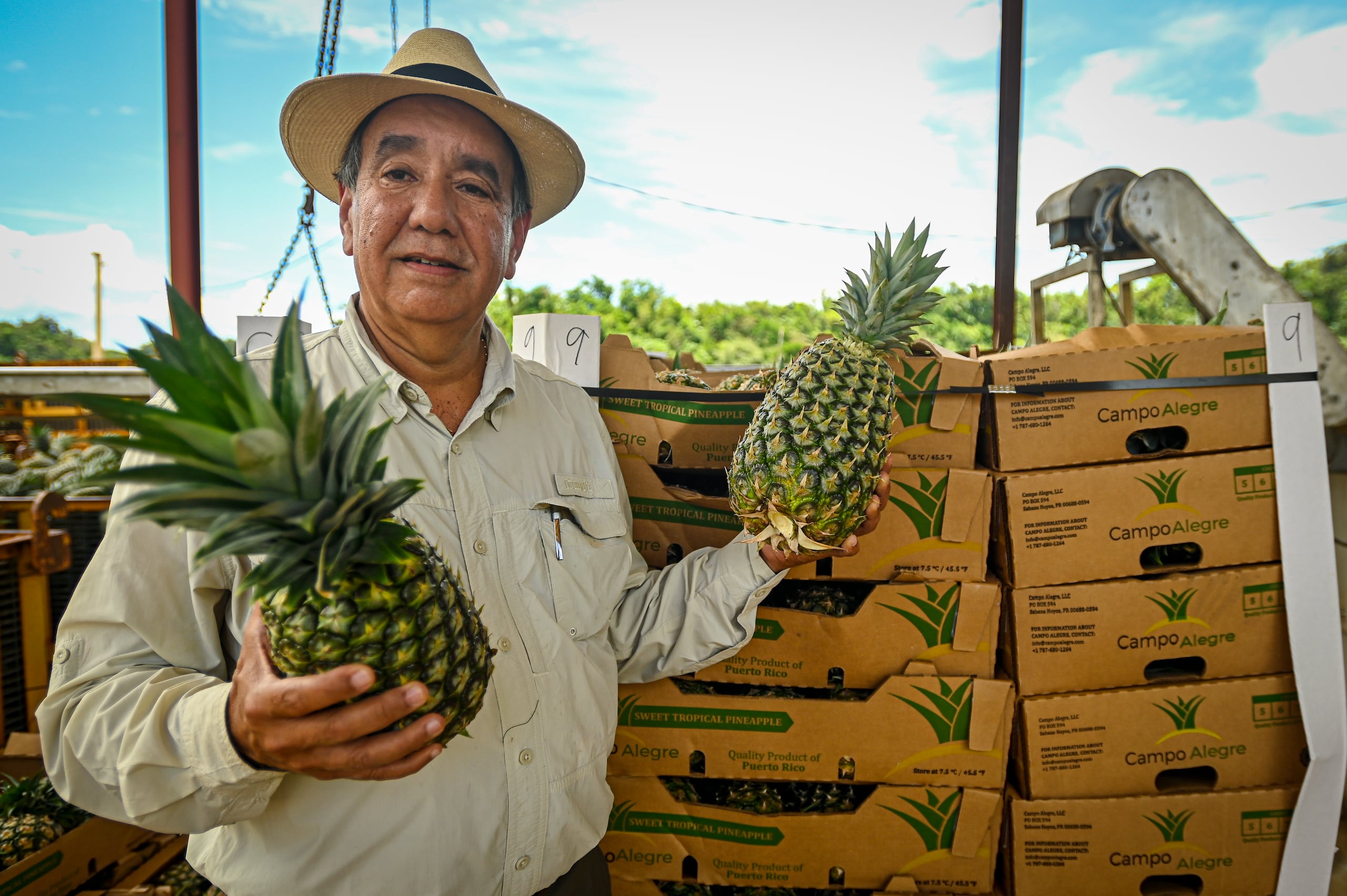 Luis Rivero agrónomo y gerente general de Finca Campo Alegre.

