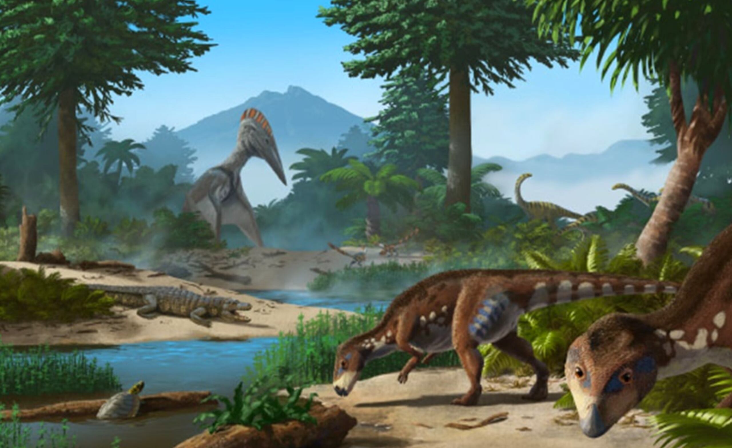 Se trata de Transylvanosaurus platycephalus, que significa literalmente "reptil de cabeza plana de Transilvania".