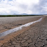 Sequía en el Cuerno de África ha provocado 3.3 millones de desplazamientos 