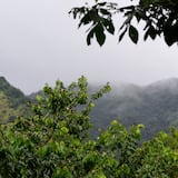 Se siente el frío tropical en el interior de Puerto Rico