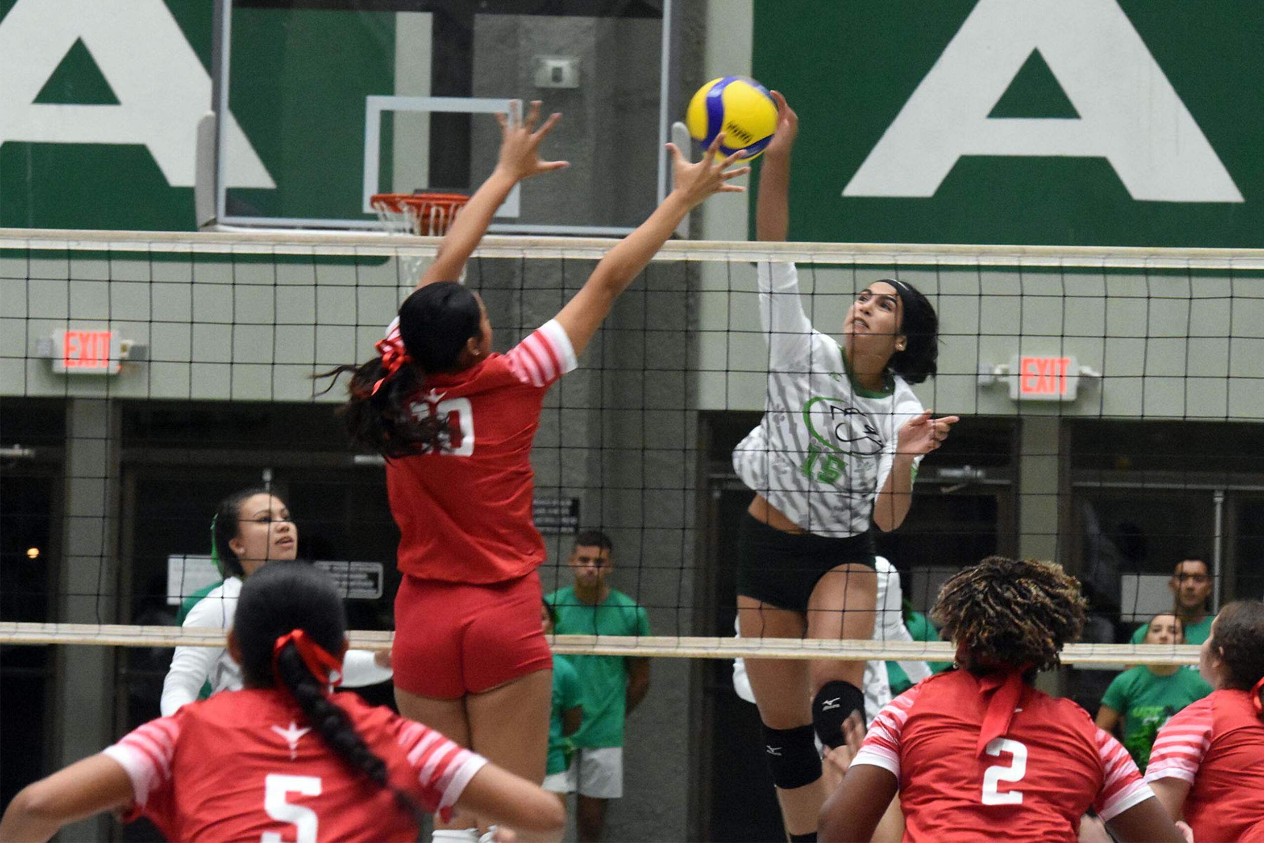 La LAI permite por reglamento que sus estudiantes-atletas jueguen en la Liga de Voleibol Superior, más tenga derecho a un beneficio económico, que es a parte de la beca universitaria.