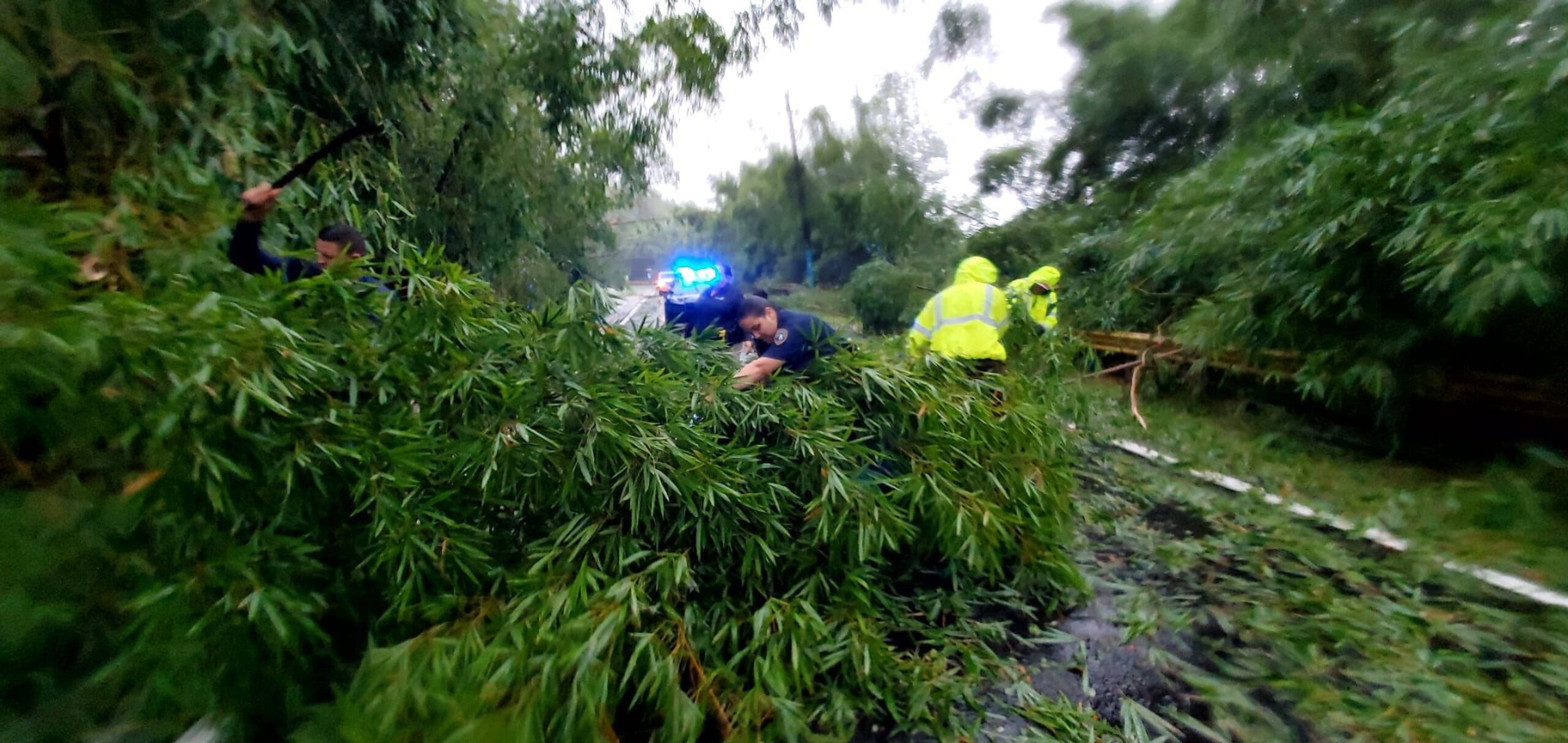 Brigadas abren paso en la carretera PR-149, en Villalba, pero en la zona se han registrado varios desprendimiento de rocas.