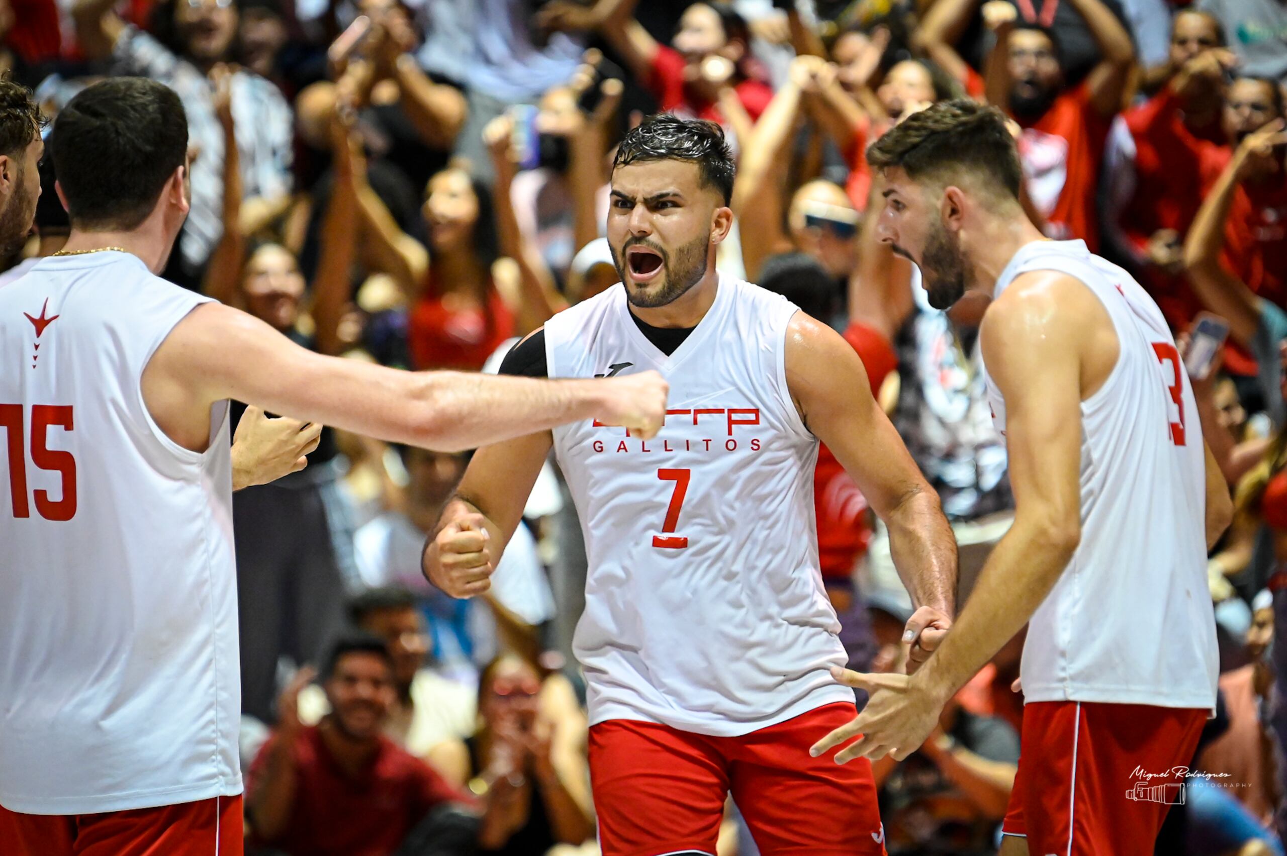 Jugadores de los Gallitos celebran un punto ante cancha llena en el recinto de Río Piedras, en donde se jugó la final del voleibol LAI frente los Tarzanes de Mayagüez.