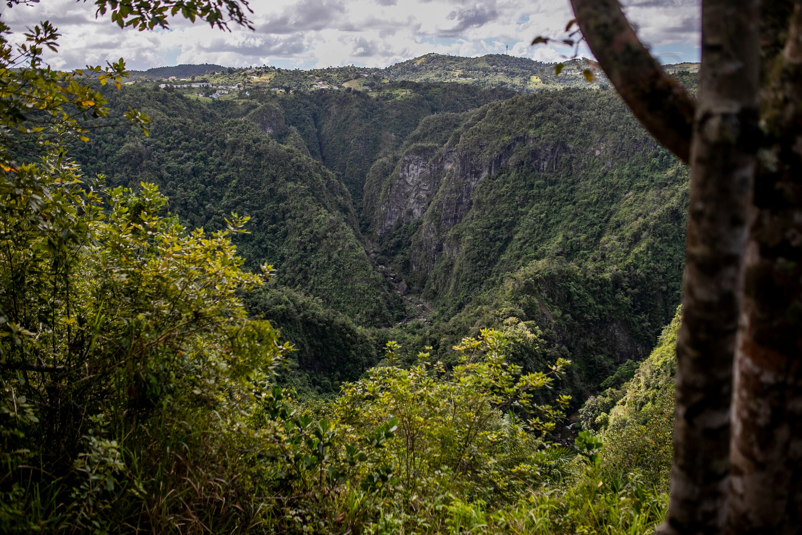 Vista del cañon San Cristobal desde Barranquitas.