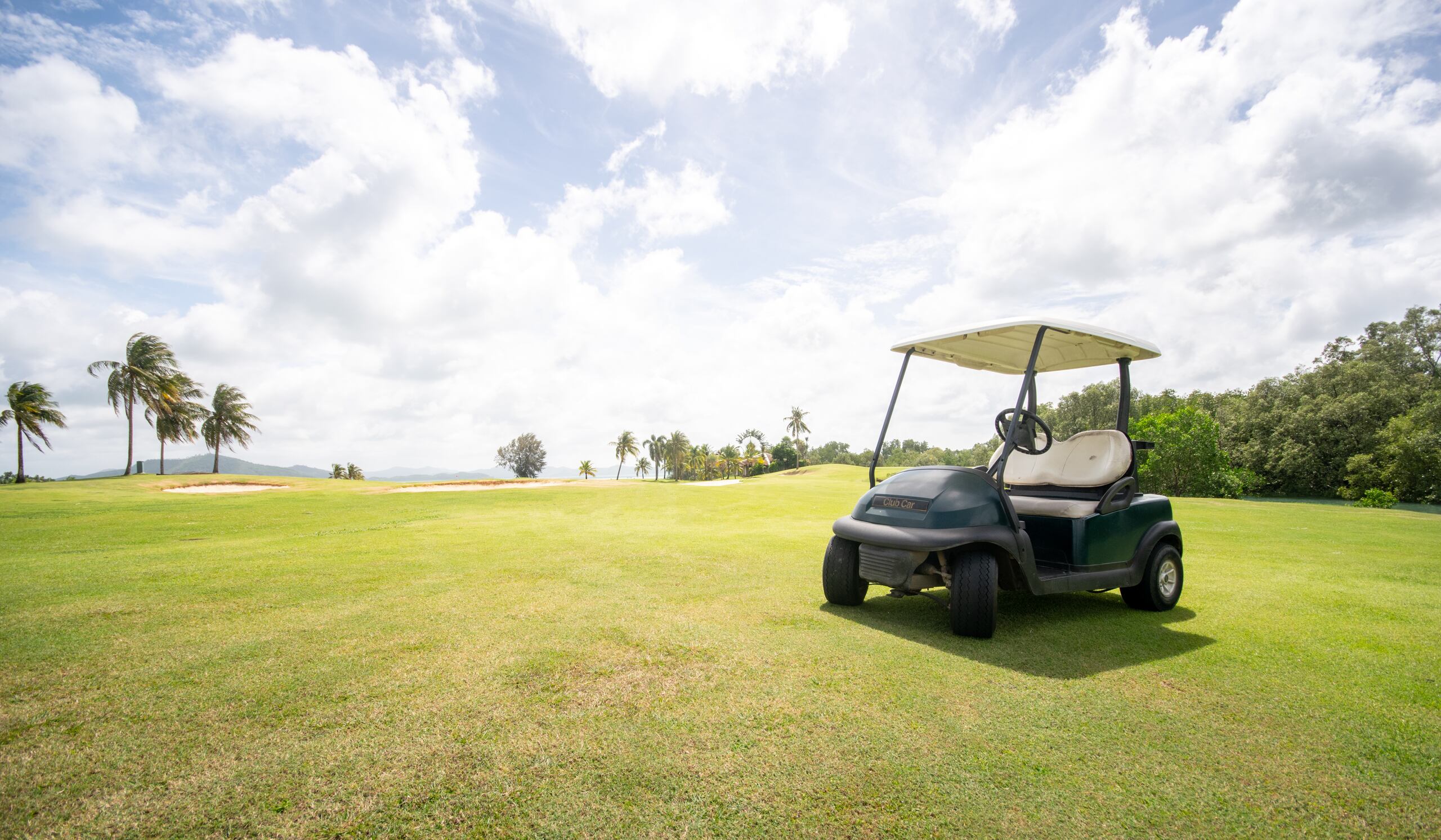 Carrito de golf