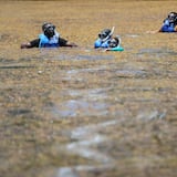 Enorme masa de sargazo se encamina a las playas americanas