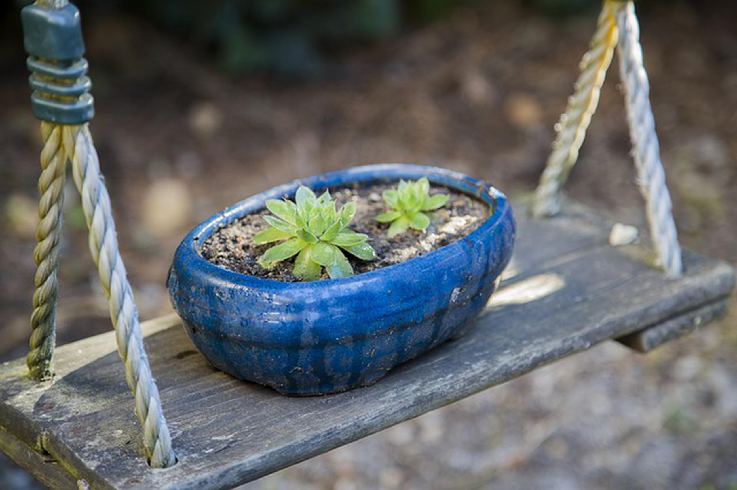 Fuentes de agua - Agrochic: Jardinería y Bienestar