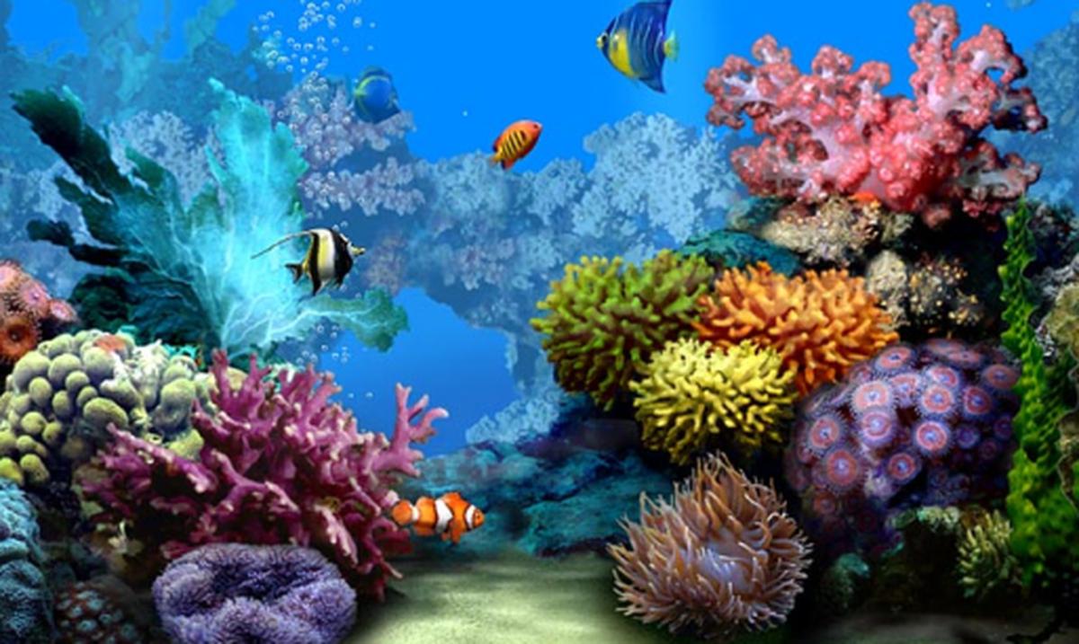 Фон для аквариума с цветными рыбками