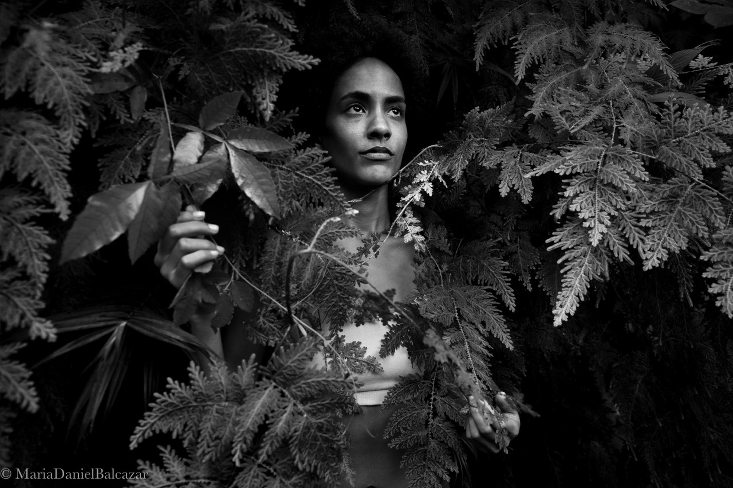 La exposición es una recopilación fotográfica de siete años de labor, retratando la obra de Julia de Burgos a través de otros mujeres latinoamericanas.