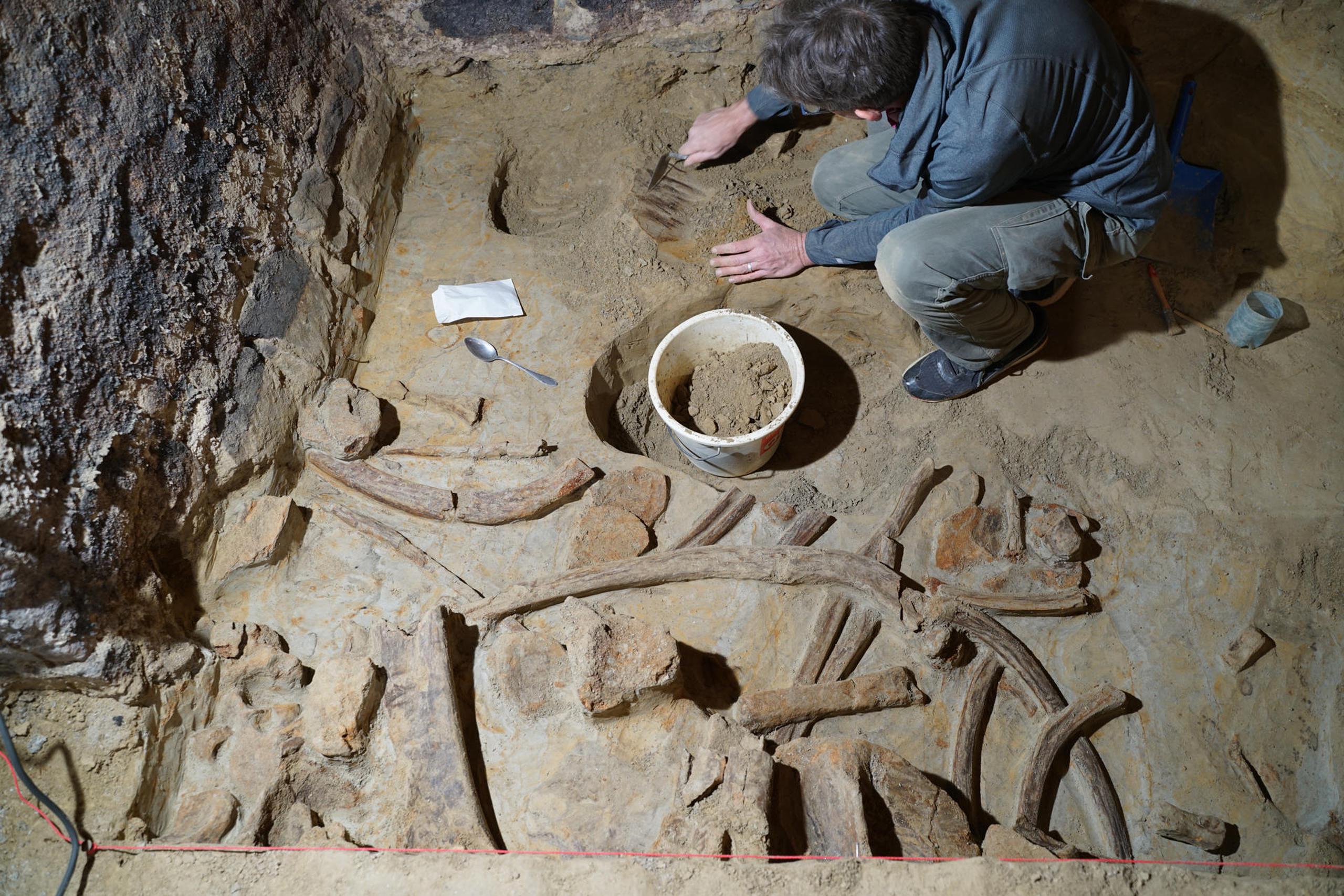 Expertos del Instituto Arqueológico Austriaco trabajaron en la extracción y análisis de los huesos encontrados en una bodega subterránea a unos 75 kilómetros de Viena.