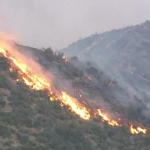 Impresionante incendio provoca desalojo de 1,200 personas en California