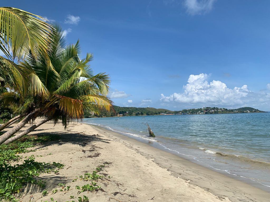 Martín Maldonado honra a Naguabo y Puerto Rico con sus aperos en