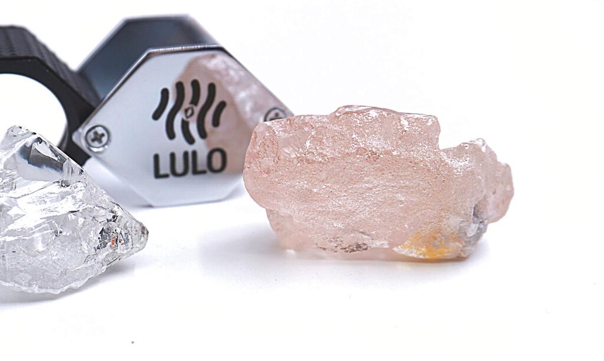 La bolsa más cara del mundo tiene más de MIL diamantes de oro rosa