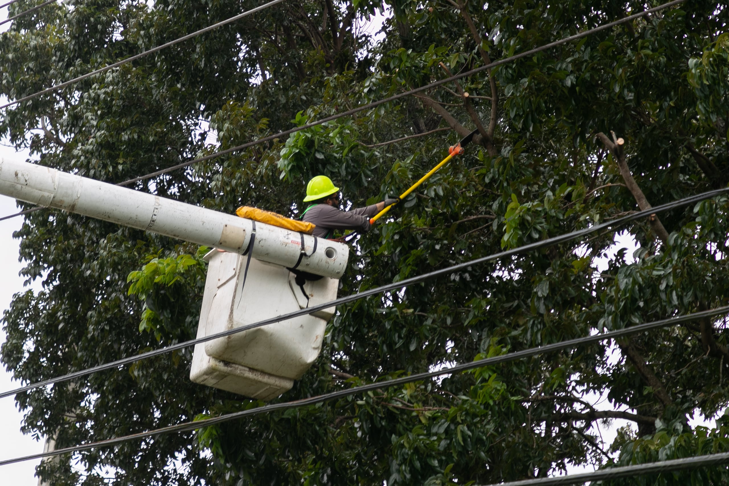 LUMA está ejecutando relevos de carga que permitirán mantener el suministro eléctrico en los municipios de Coamo, Santa Isabel y Aibonito