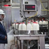 Comienza a estabilizarse la producción de leche fresca aunque sigue la huelga de la Suiza Dairy