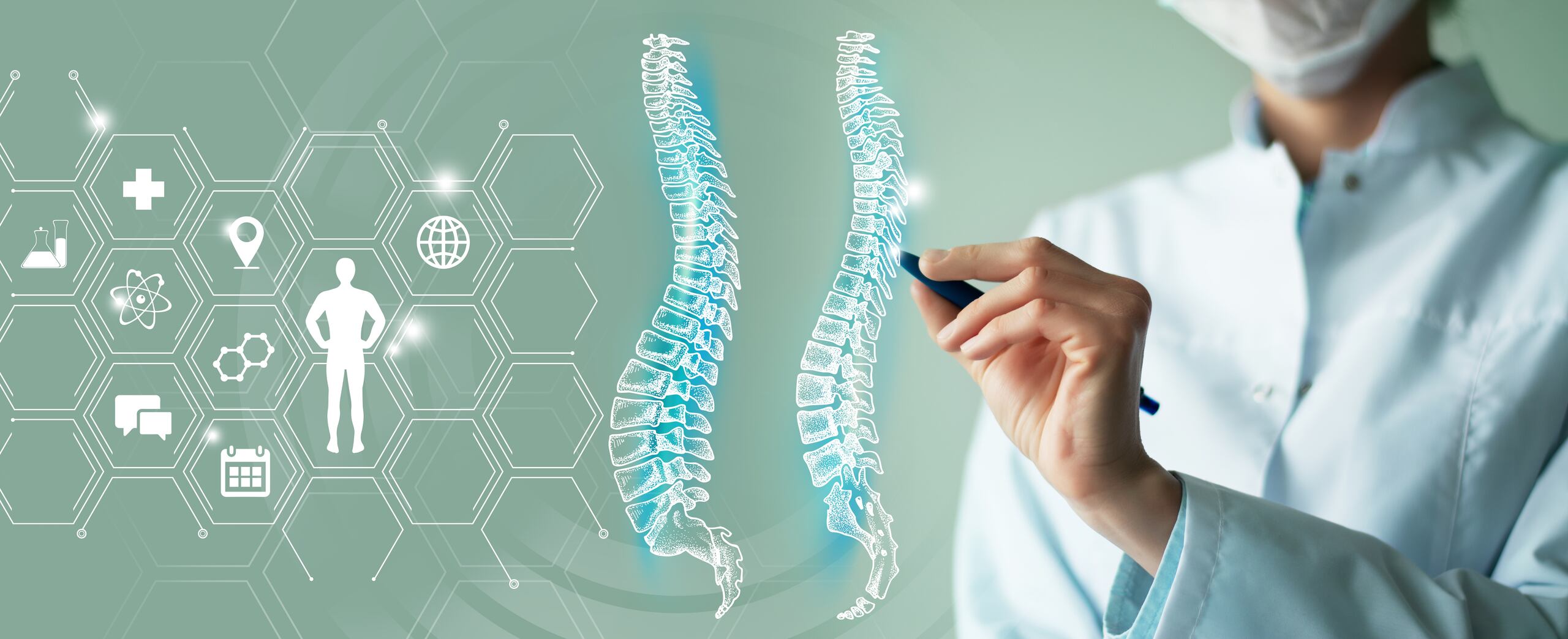 La médula espinal es una disposición mecánica, química y eléctrica de distintos tipos de células que trabajan en armonía para producir y regular multitud de funciones neurológicas.