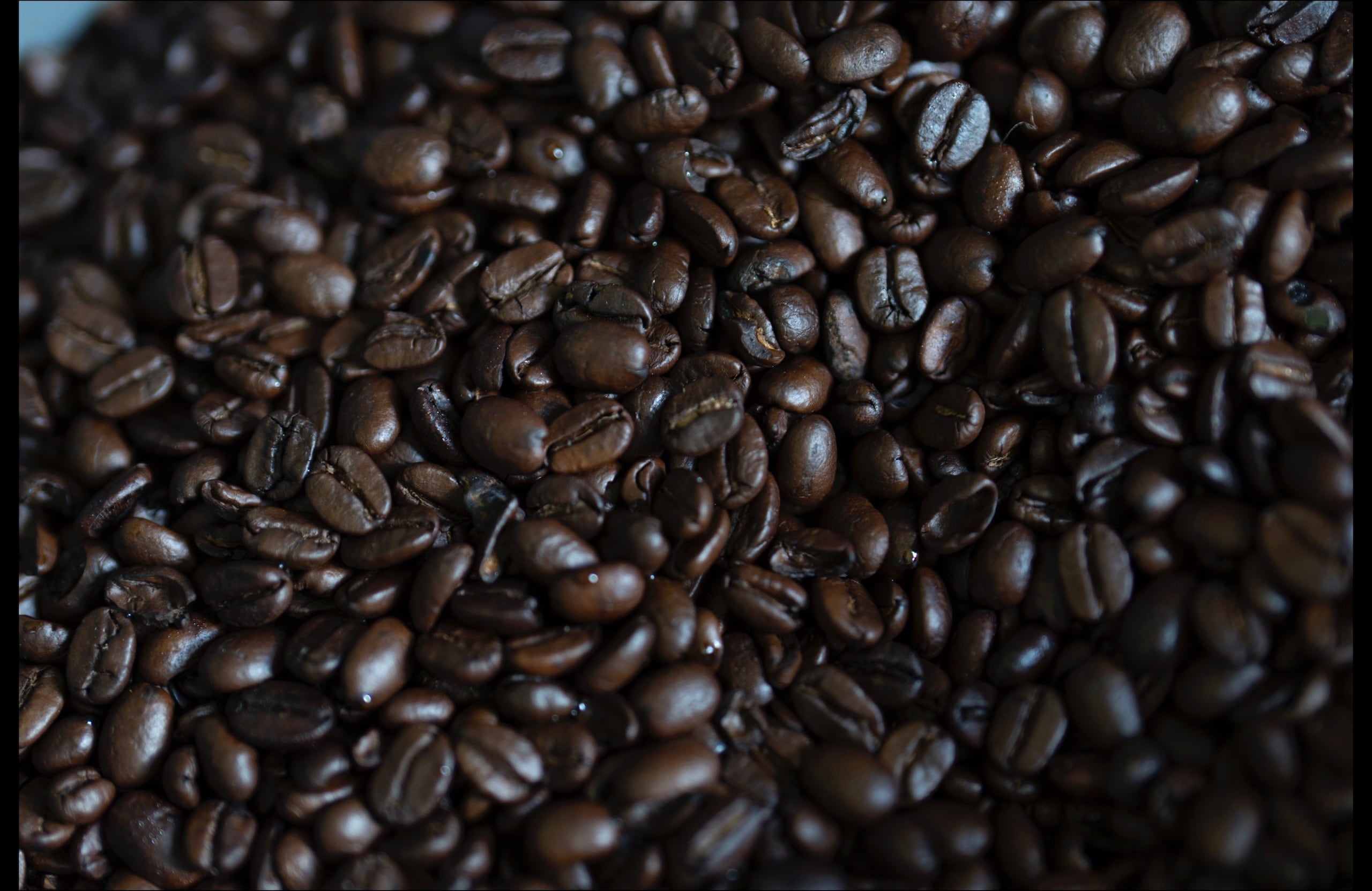 El importador de café debe tener licencia expedida por el Departamento de Agricultura.