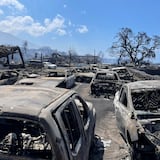 Hawai trabaja para identificar 99 muertos confirmados de los incendios